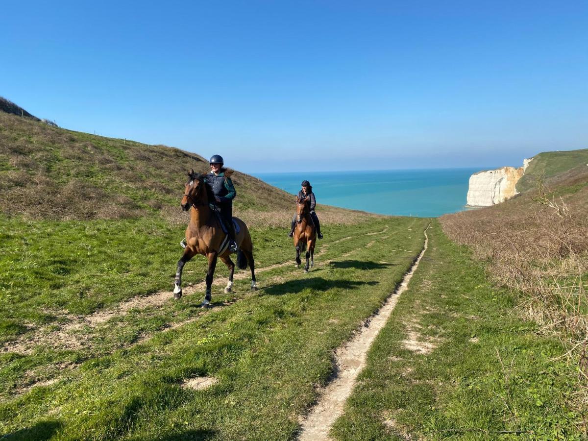 مبيت وإفطار Le Tilleul Domaine Equestre Etretat المظهر الخارجي الصورة