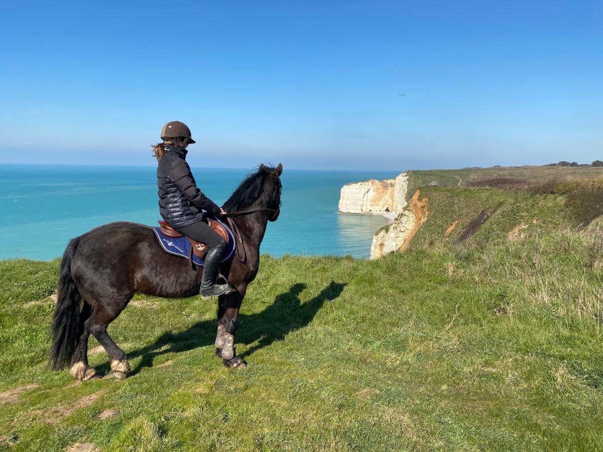 مبيت وإفطار Le Tilleul Domaine Equestre Etretat المظهر الخارجي الصورة